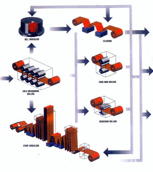 Cold rolling and annealing of strip